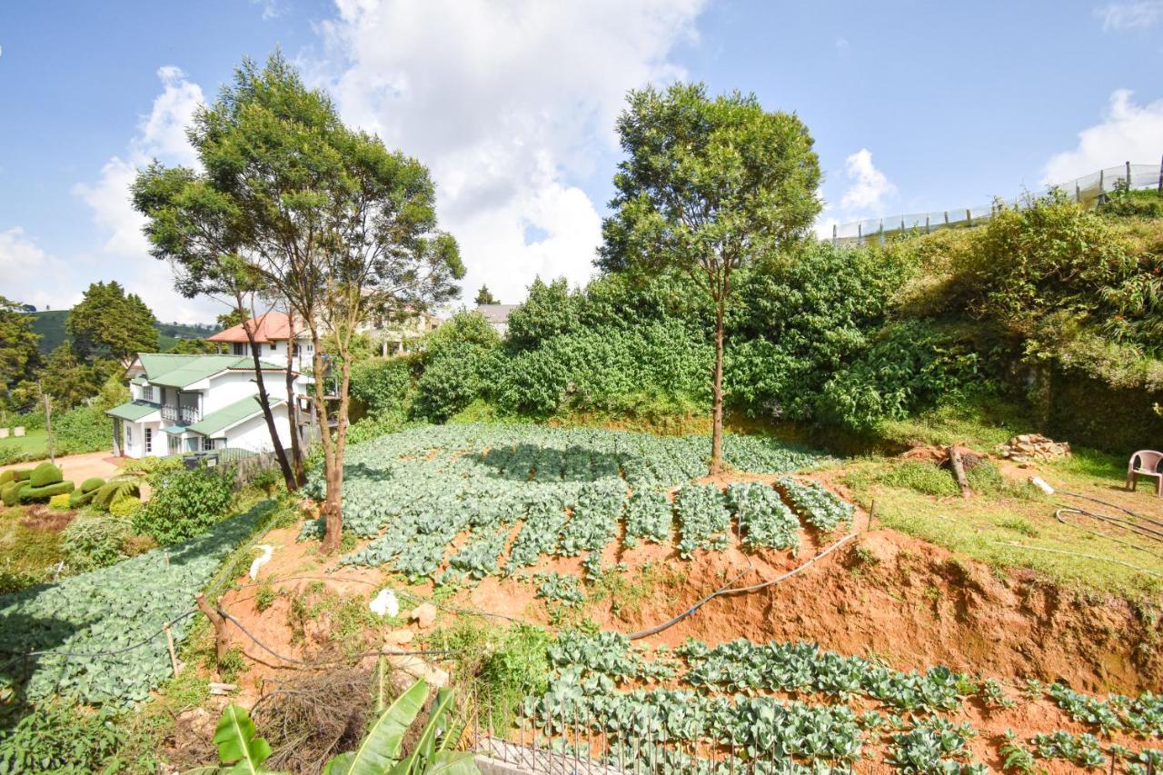 St. Anne Holiday Bunglow Nuwara Eliya Exterior foto